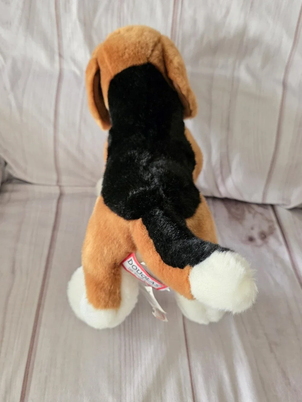 Douglas bernie beagle